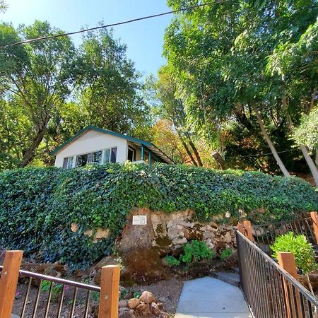 Kelseyville Clear Lake Vista Resort מראה חיצוני תמונה